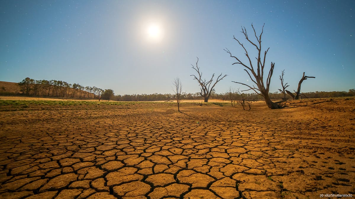 "Negative growth" of runoff: The South of Kazakhstan risks being left without water in the 2026 season