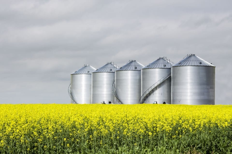Canada is shifting from wheat to oilseed crops.