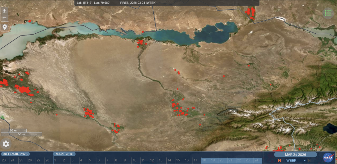 Fires in the Ili Delta threaten the ecology of the Balkhash region.