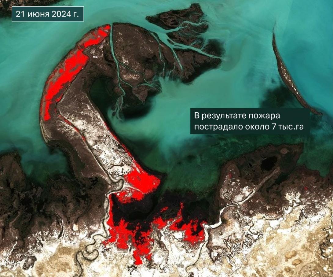 The true scale of fires on Balkhash