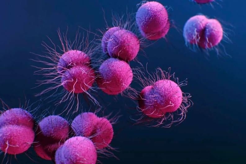 Record surge in sexually transmitted bacterial infections reported in Europe