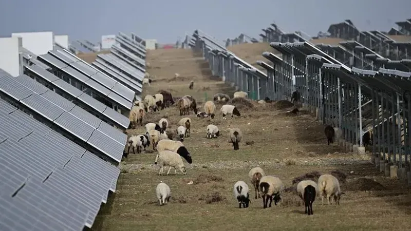 Chinese solar farms have demonstrated a new model for rural development.