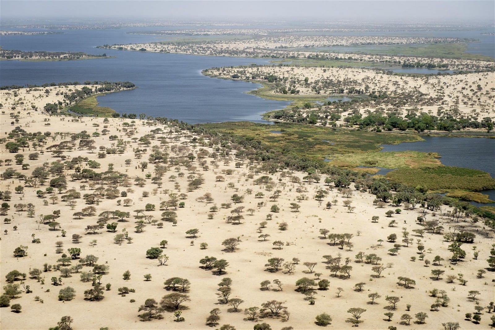 $50 Billion Canal: Why Africa Cannot Save Lake Chad