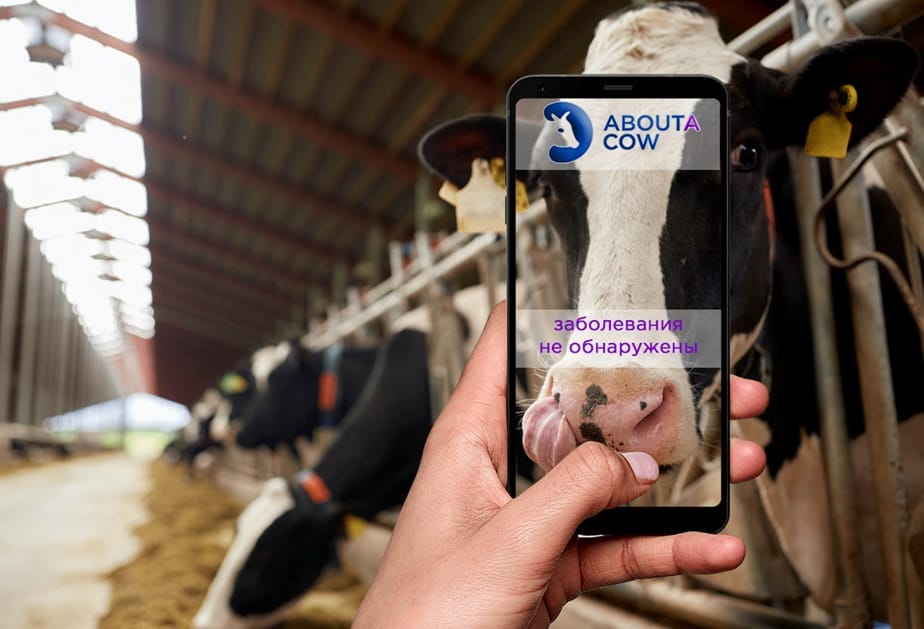 Digital veterinarian detects diseases in cows 24/7
