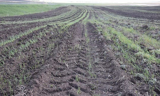Kazakhstan Senate adopts law "On Soil Protection". Mandatory land passport introduced