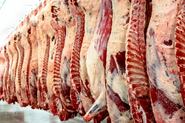 Kazakhstan to Extend Beef Export Restrictions for Another Six Months