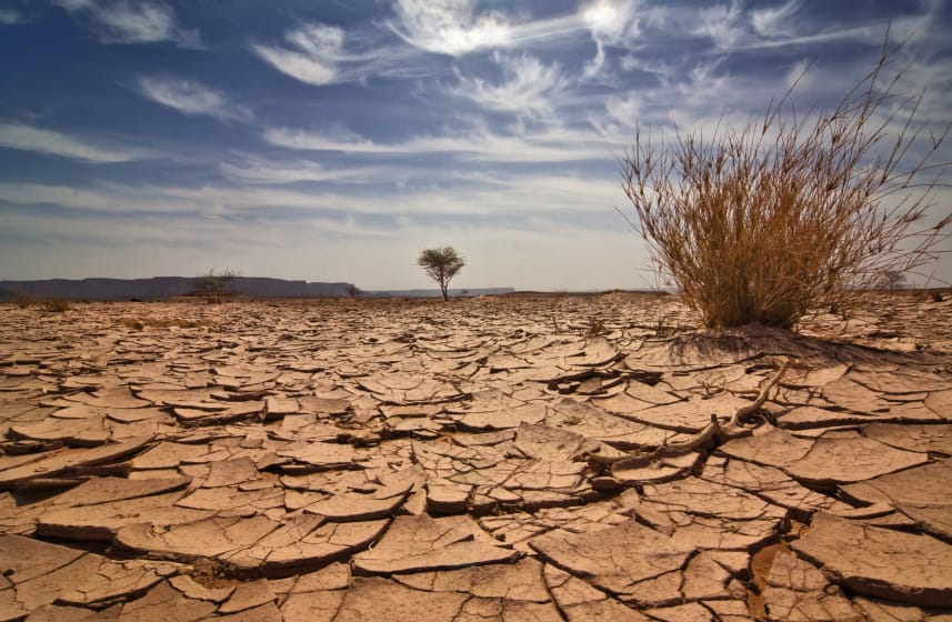 Kenya has received funding to address the consequences of climate disasters.