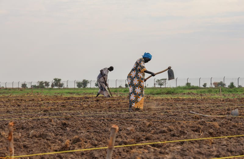 Hunger is becoming a new global threat. The UN is sounding the alarm for 13 countries at once.