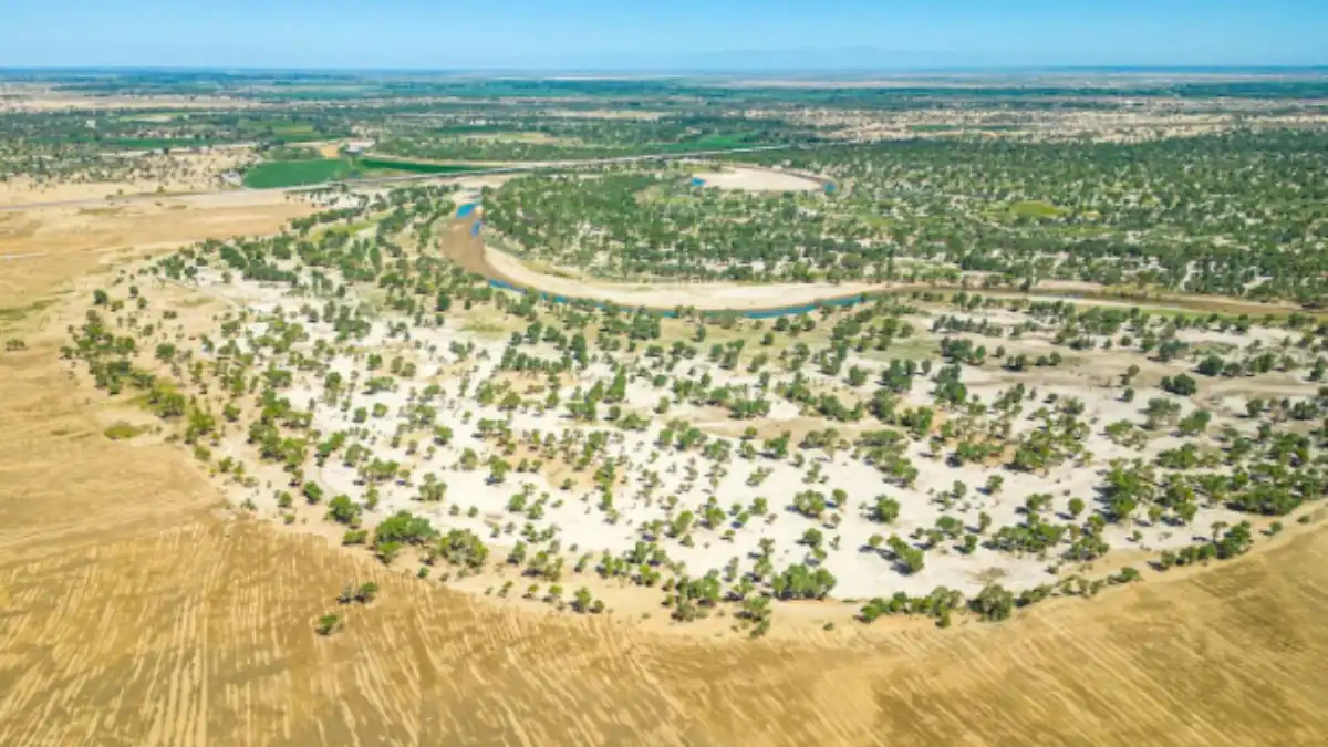 China has tamed the country's largest desert — and is now sharing its experience with Central Asia