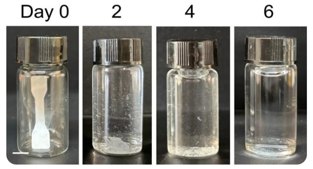 Living plastic" disappears in six days: scientists create material without microplastics