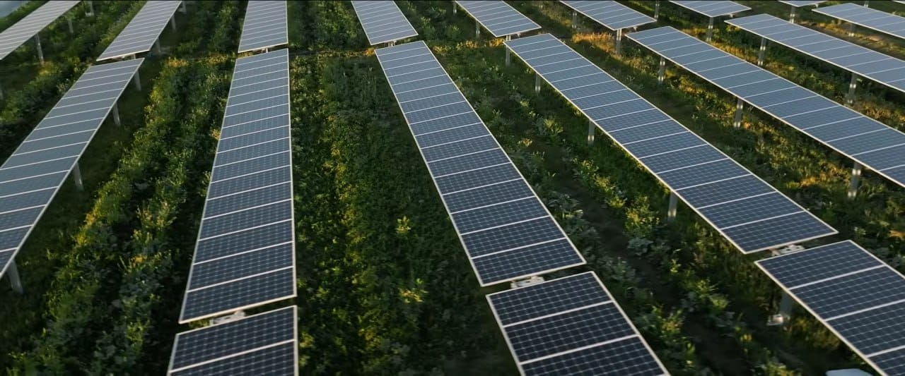 Agrovoltaics turned a loss-making farm in Colorado into a profitable one — Kazakhstan's neighbors are already trying the same