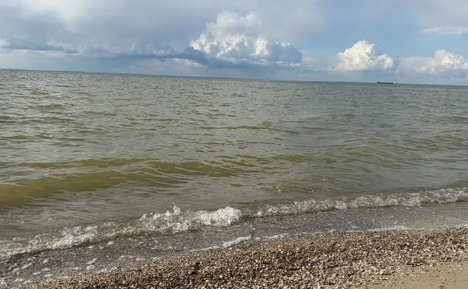 Salinity of the Sea of Azov has reached a historic maximum