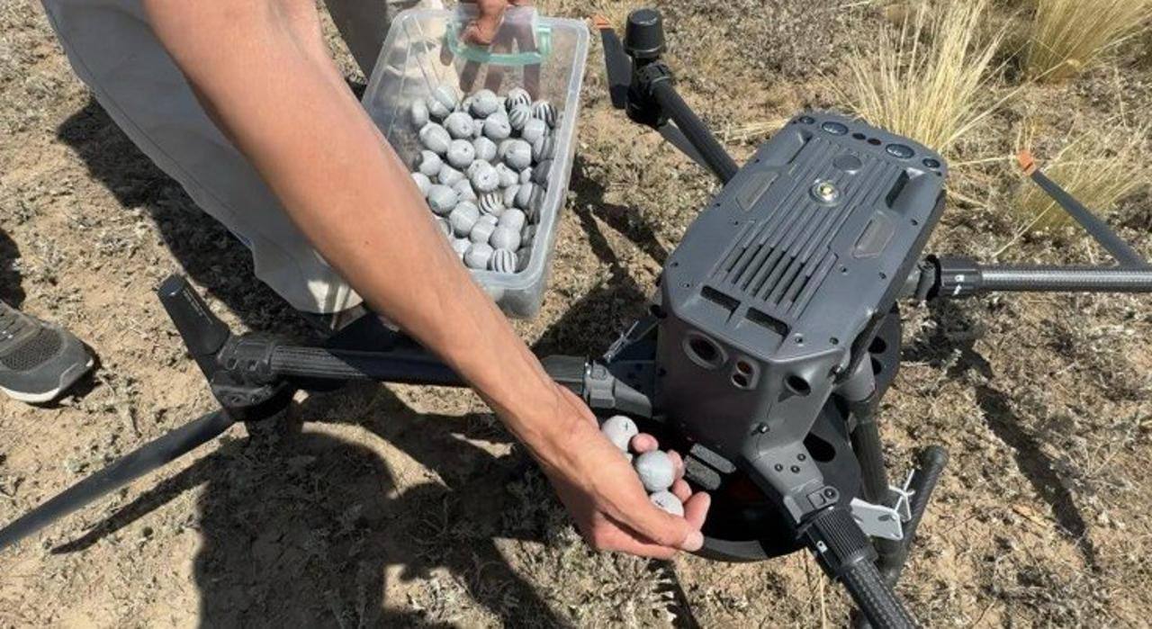 Drones for dispersing beneficial insects — a Kazakh invention or a regional trend