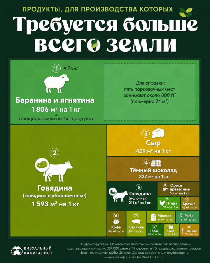 Баранина и говядина требуют больше всего земли среди всех продуктов питания