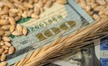 зернобобовые