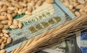 зернобобовые